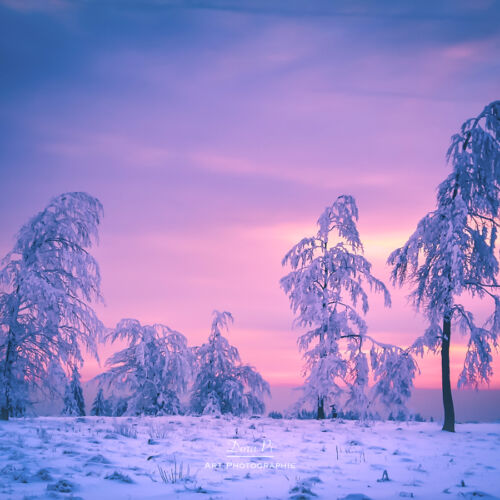 Winterberg Kahler Asten