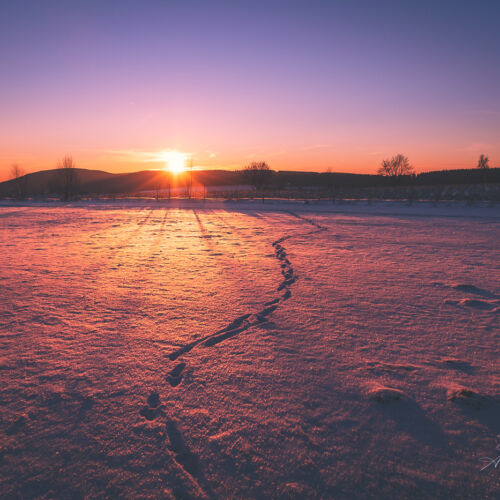 Winterberger Naturlandschaften