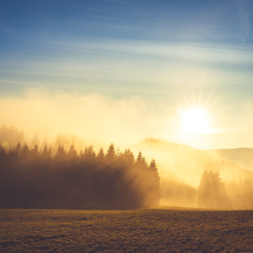 Winterberger Naturlandschaften