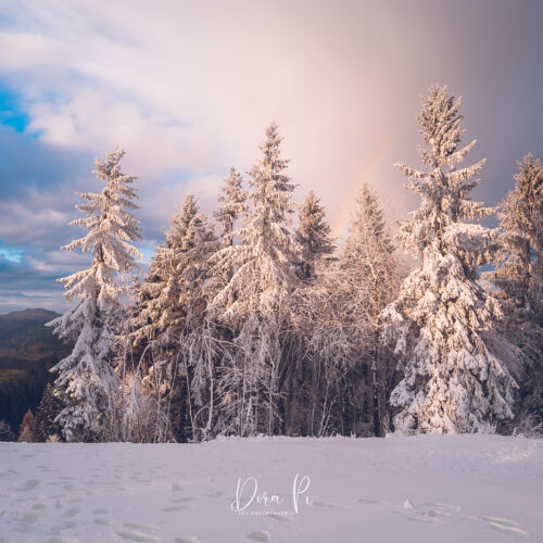 Winterberger Naturlandschaften