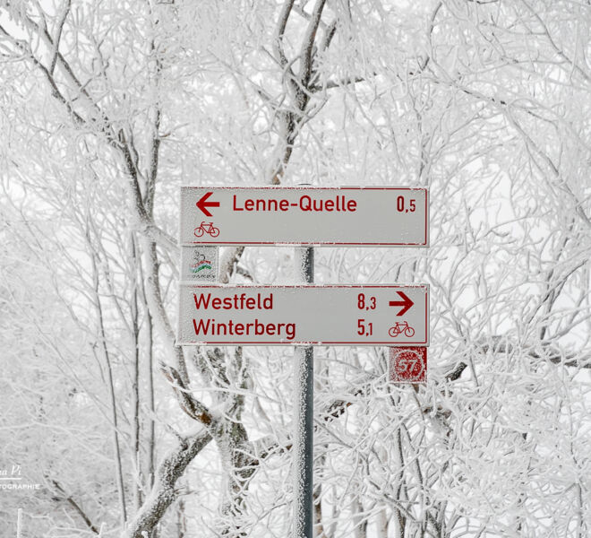Winterberger Naturlandschaften