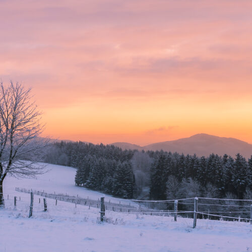 Winterberger Naturlandschaften