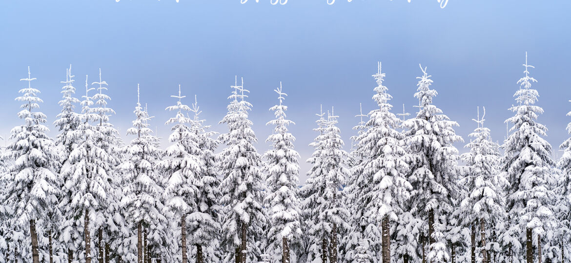 Winterliche Grüße aus Winterberg