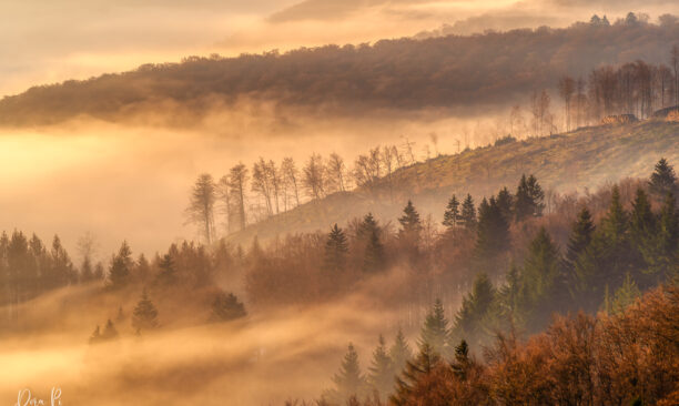 Winterberg Berglandschaft