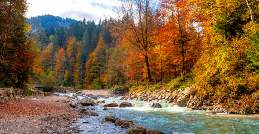 Tirol