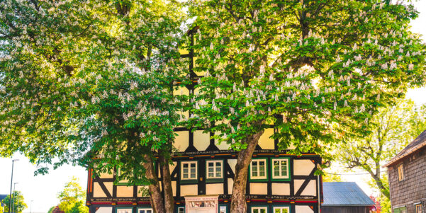 Fachwerkhaus