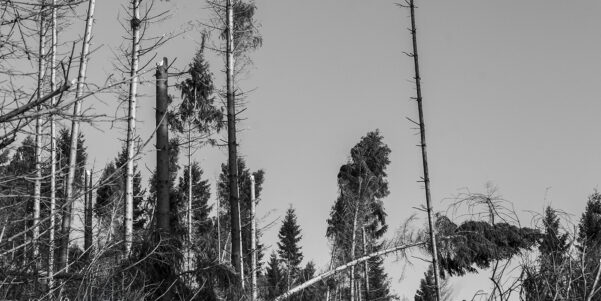 Kyrill 2007