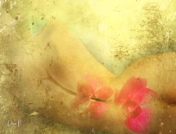 Love Story Die Unbekannte
